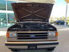Thumbnail Photo 38 for 1989 Ford Bronco